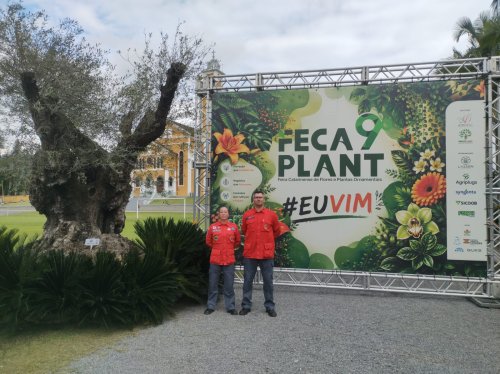 Fecaplant Maio 2026