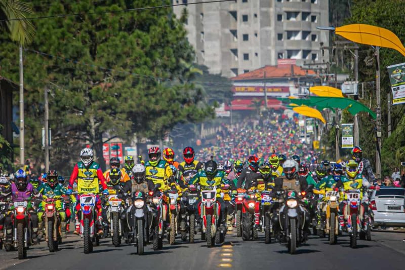 Bananalama 2022